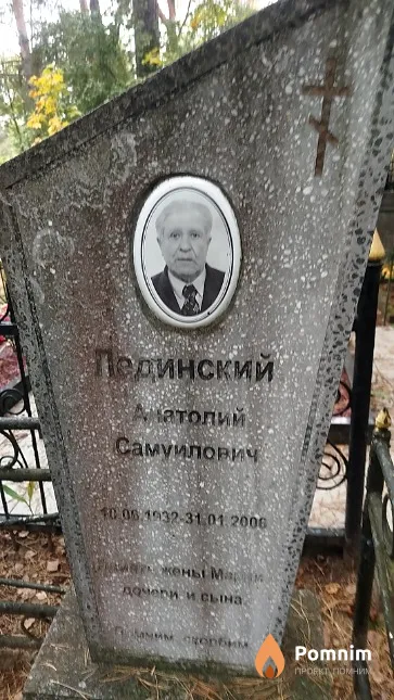 Лединский Анатолий Самуилович