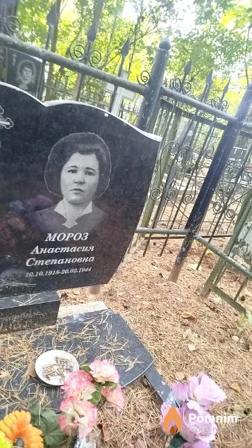 Мороз Анастасия Степановна