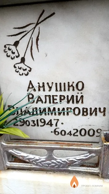 Анушко Валерий Владимирович