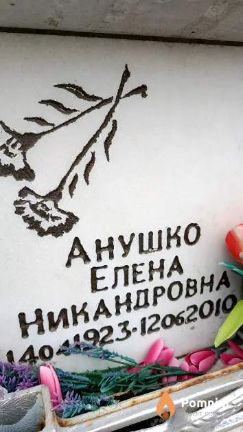 Анушко Елена Никандровна