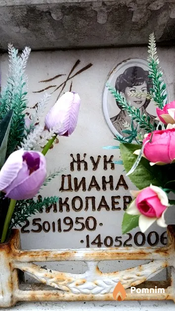 Жук Диана Николаевна