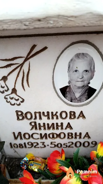 Волчкова Янина Иосифовна