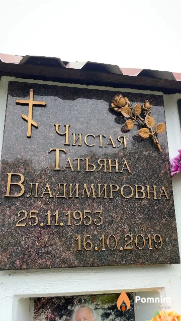 Чистая Татьяна Владимировна
