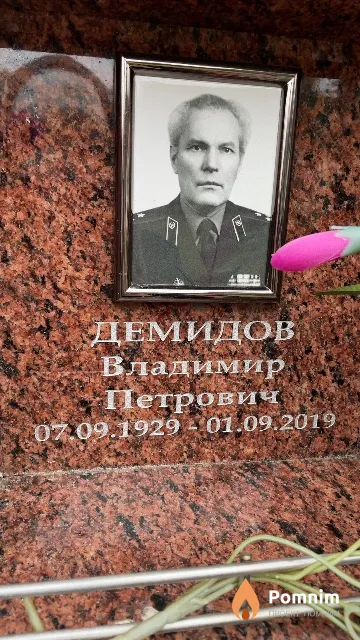Демидов Владимир Петрович