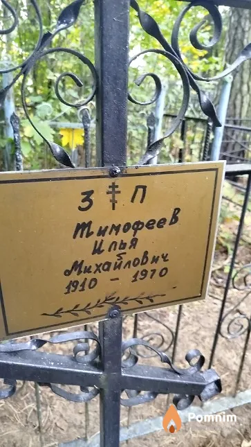 Тимофеев Илья Михайлович