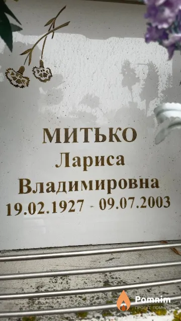 Митько Лариса Владимировна