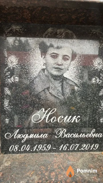 Носик Людмила Васильевна