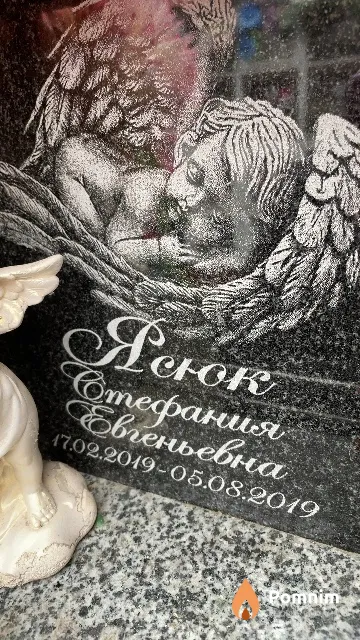 Ясюк Стефания Евгеньевна