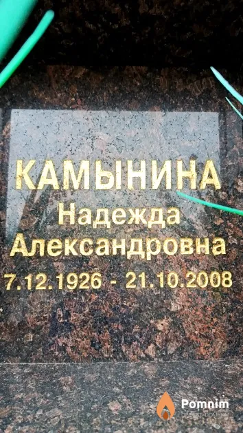 Камынина Надежда Александровна