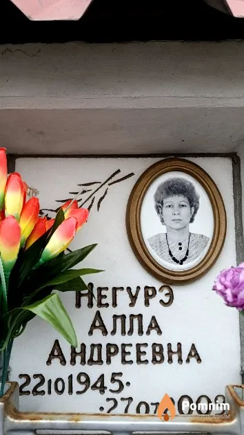Негурэ Алла Андреевна