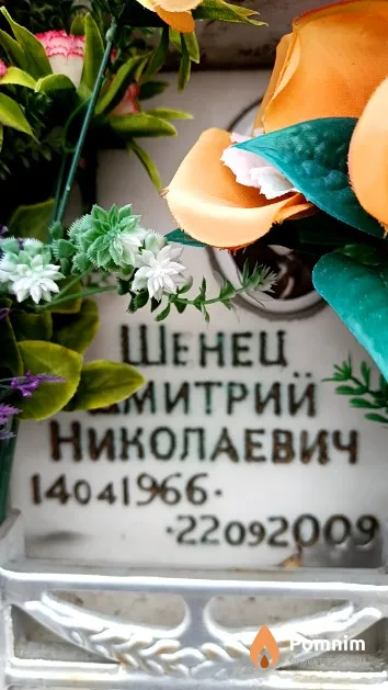 Шенец Дмитрий Николаевич