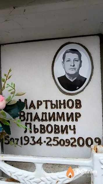 Мартынов Владимир Львович