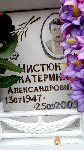 Нистюк Екатерина Александровна