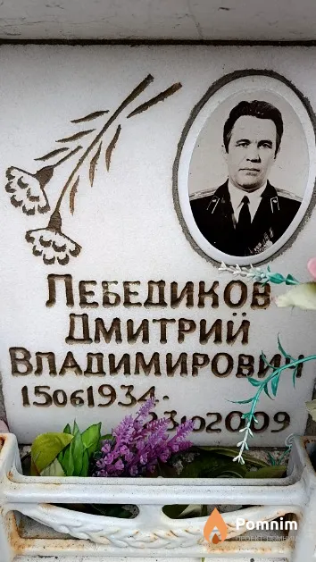 Лебедиков Дмитрий Владимирович