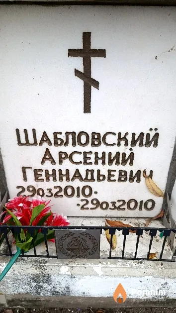 Шабловский Арсений Геннадьевич