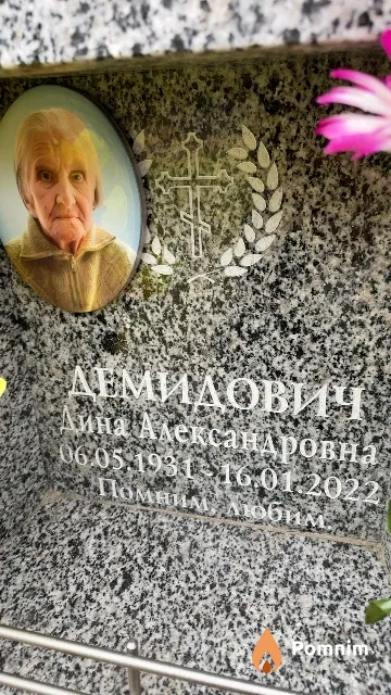 Демидович Дина Александровна