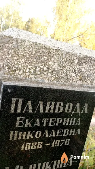 Паливода Екатерина Николаевна