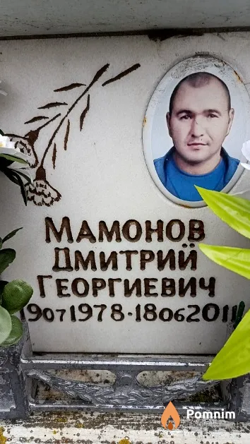 Мамонов Дмитрий Георгиевич