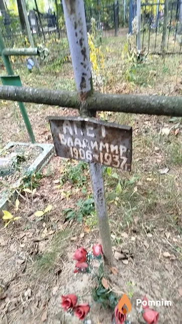 Апет Владимир