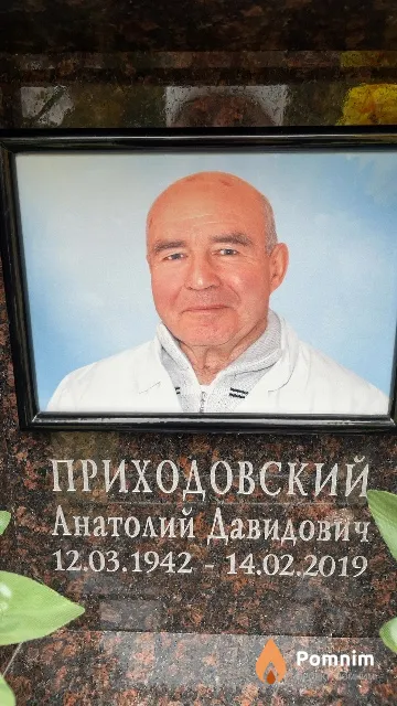 Приходовский Анатолий Давидович