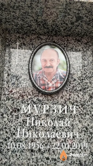 Мурзич Николай Николаевич
