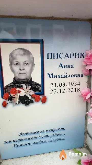 Писарик Анна Михайловна