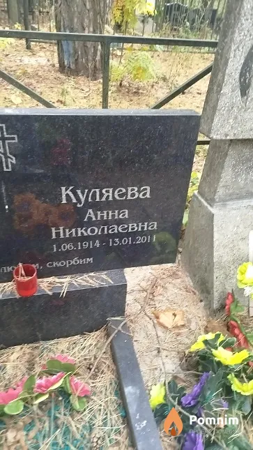 Куляева Анна Николаевна