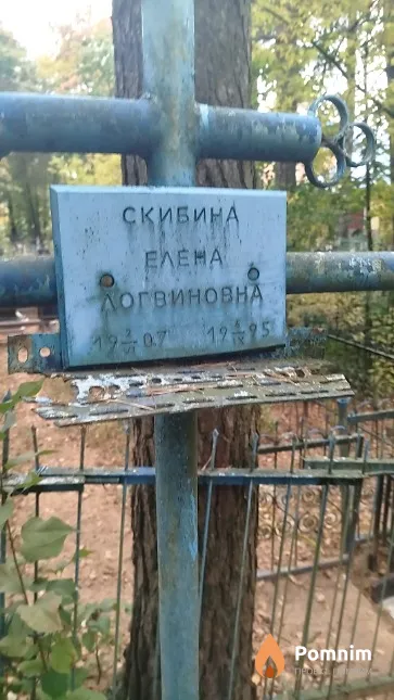 Скибина Елена Логвиновна