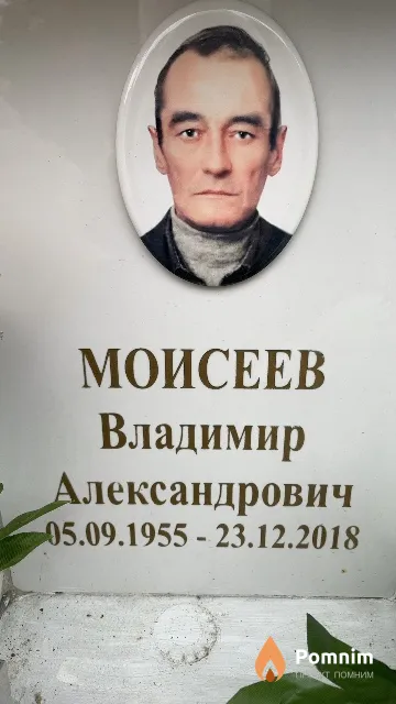 Моисеев Владимир Александрович