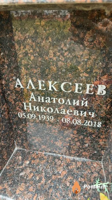 Алексеев Анатолий Николаевич