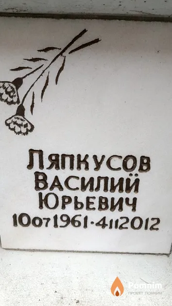 Ляпкусов Василий Юрьевич