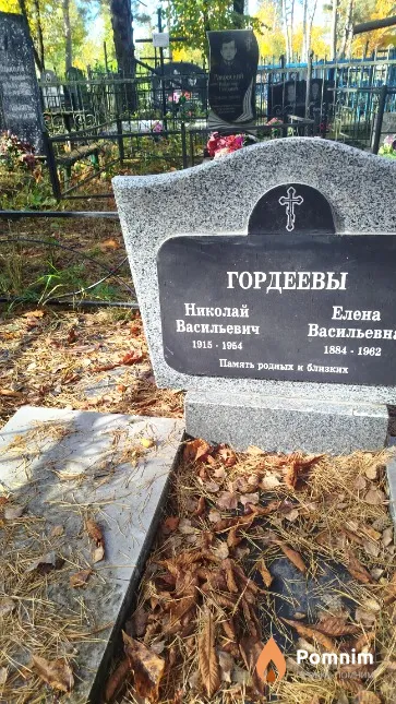 Гордеев Николай Васильевич