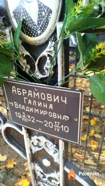 Абрамович Галина Владимировна