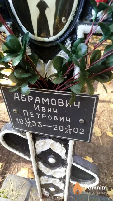 Абрамович Иван Петрович
