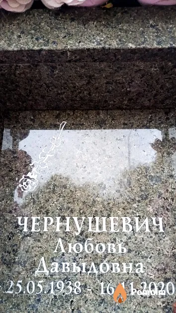 Чернушевич Любовь Давыдовна