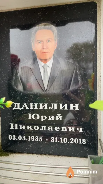 Данилин Юрий Николаевич