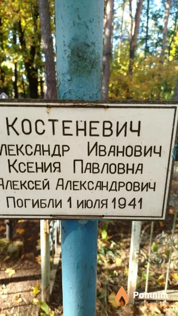Костеневич Ксения Павловна