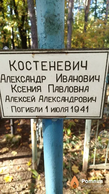 Костеневич Александр Иванович