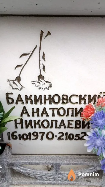 Бакиновский Анатолий Николаевич