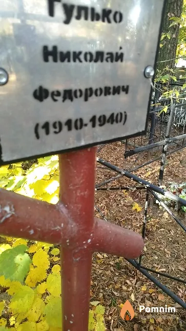 Гулько Николай Фёдорович