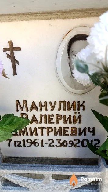 Манулик Валерий Дмитриевич