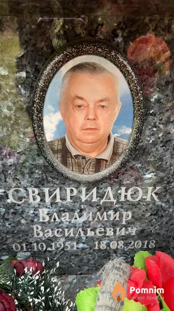 Свиридюк Владимир Васильевич