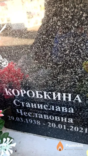 Коробкина Станислава Чеславовна
