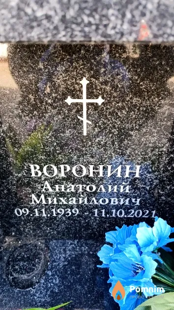 Воронин Анатолий Михайлович