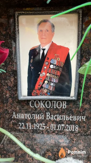 Соколов Анатолий Васильевич