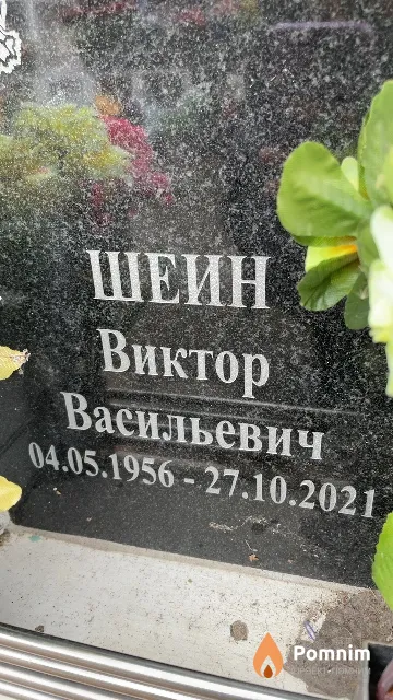 Шеин Виктор Васильевич