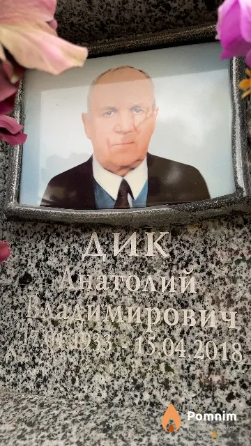 Дик Анатолий Владимирович