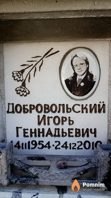 Добровольский Игорь Геннадьевич