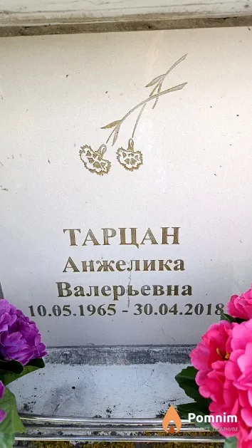 Тарцан Анжелика Валерьевна