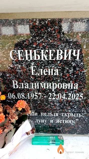 Сенькевич Елена Владимировна